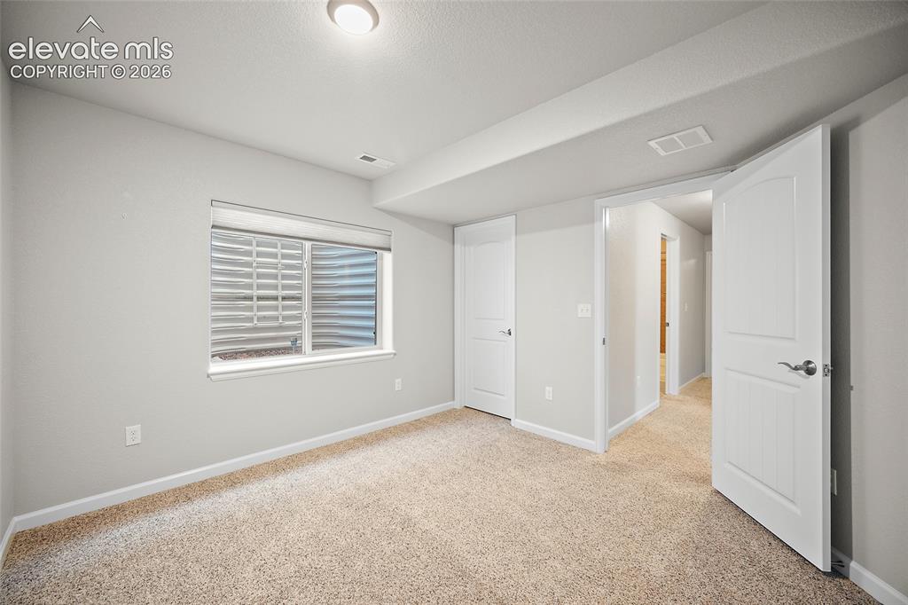 11447 Rill Point Colorado Springs, CO 80921 - Photo 24 of 42 downstairs bedroom #1
