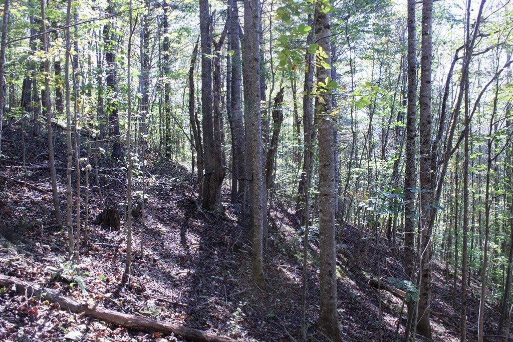 Tbd Tbd Road, Unit 9 Dugspur, VA 24325 - Photo 12 of 31 Gallery Image 12