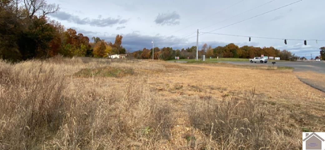 552 Toy York Road Benton, KY 42025 - Photo 1 of 1 Photo 1