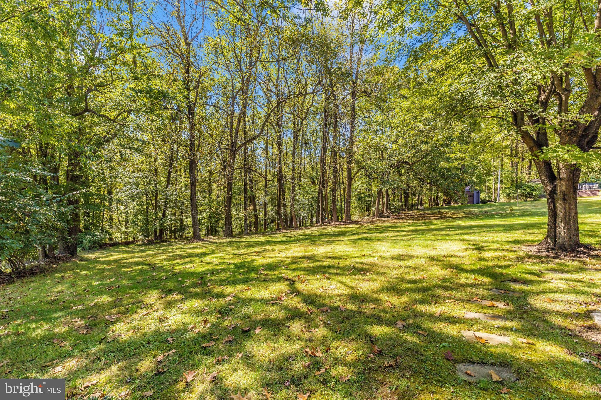 5433 Shookstown Road Frederick, MD 21702 - Photo 40 of 43 Backyard