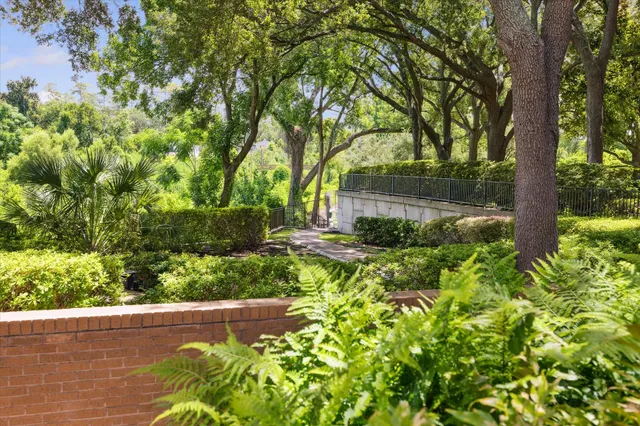 a view of a yard with large trees