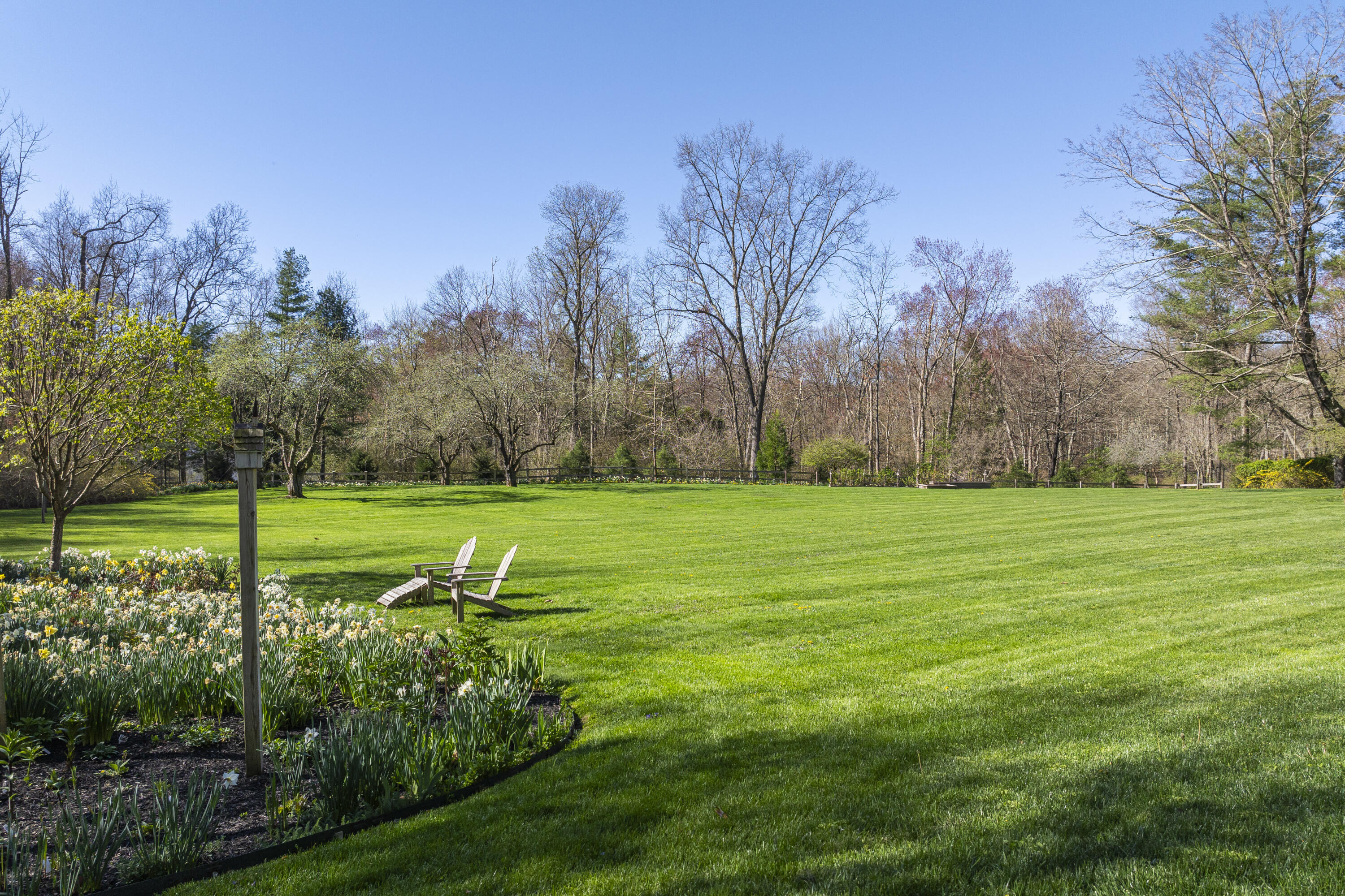 1446 Ponus Ridge Road New Canaan, CT 06840 - Photo 2 of 25 a view of a park with large trees