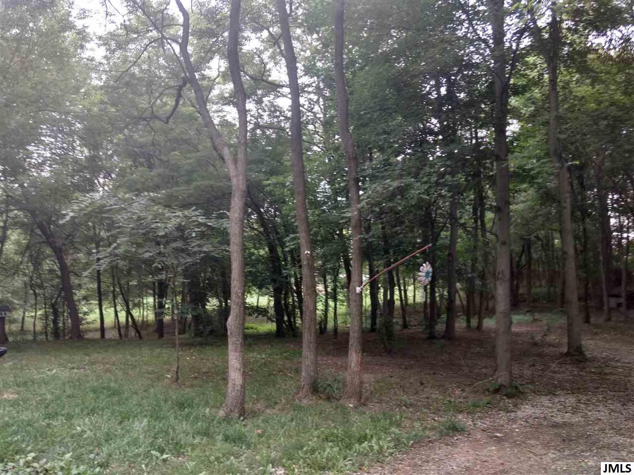 11210 Shepherd Road Onsted, MI 49265 - Photo 24 of 34 Photo 24