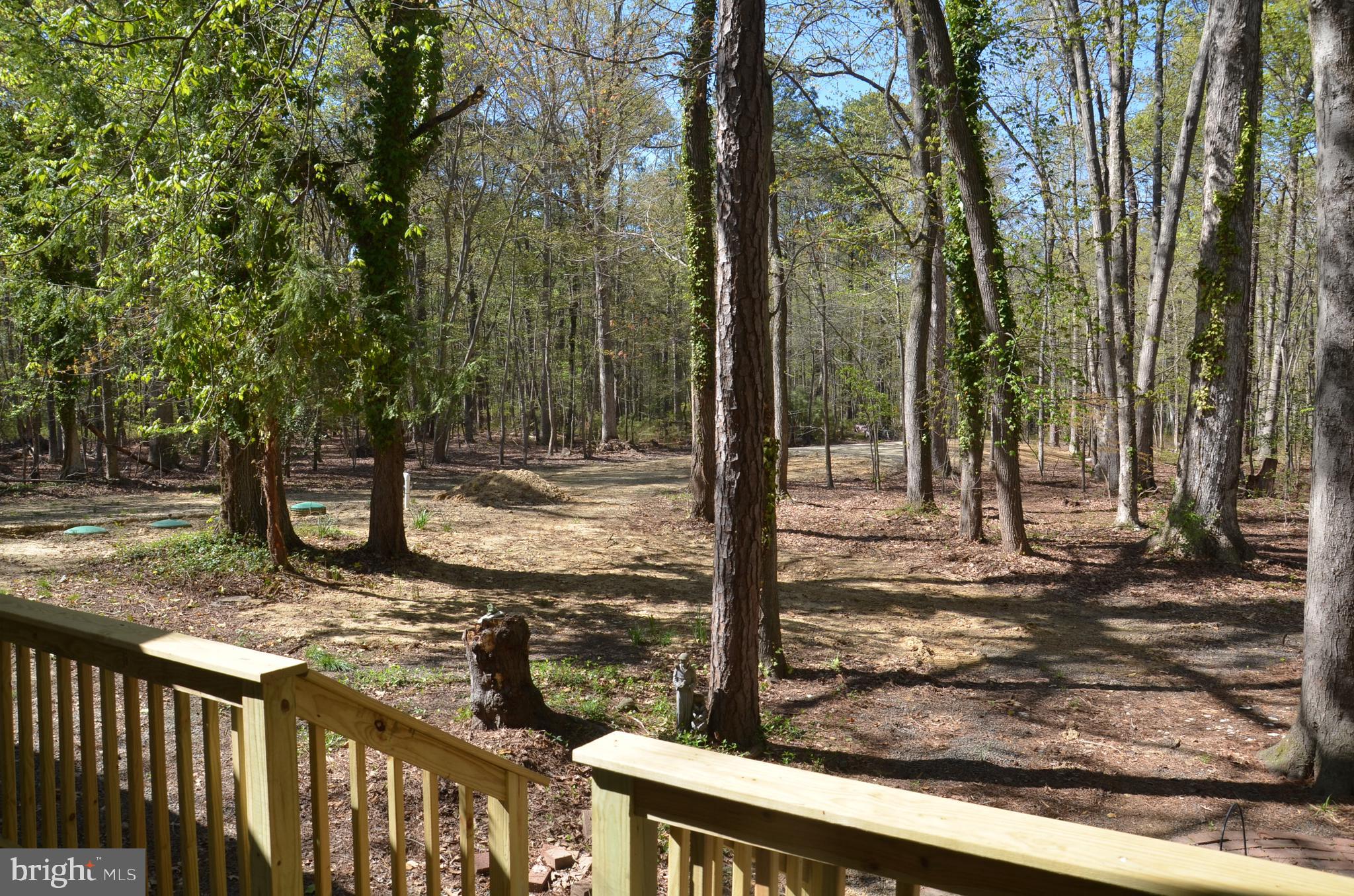 23266 Mallard Point Road McDaniel, MD 21647 - Photo 18 of 23 View From Deck