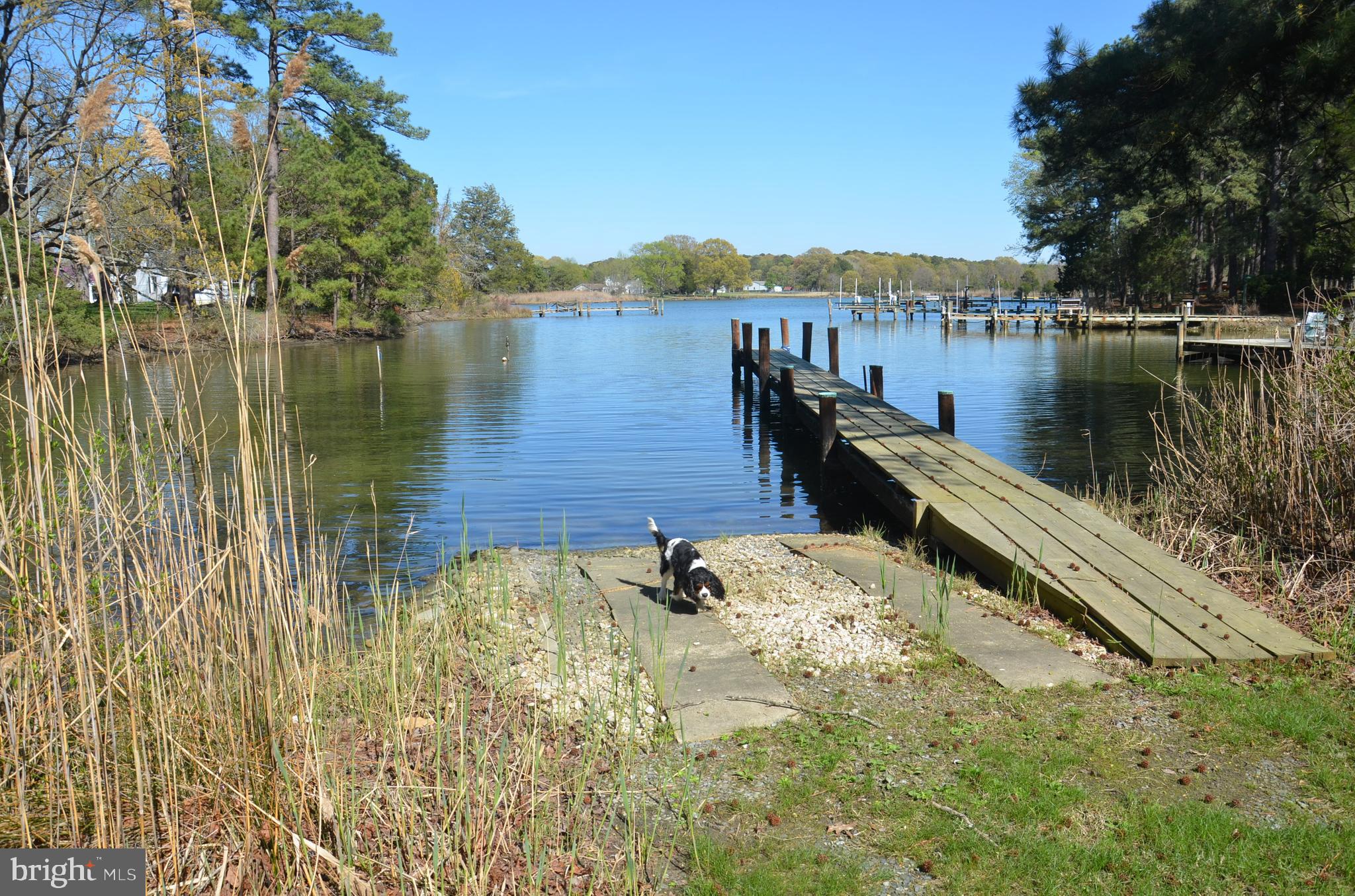 23266 Mallard Point Road McDaniel, MD 21647 - Photo 22 of 23 Community Dock w/kayak ramp