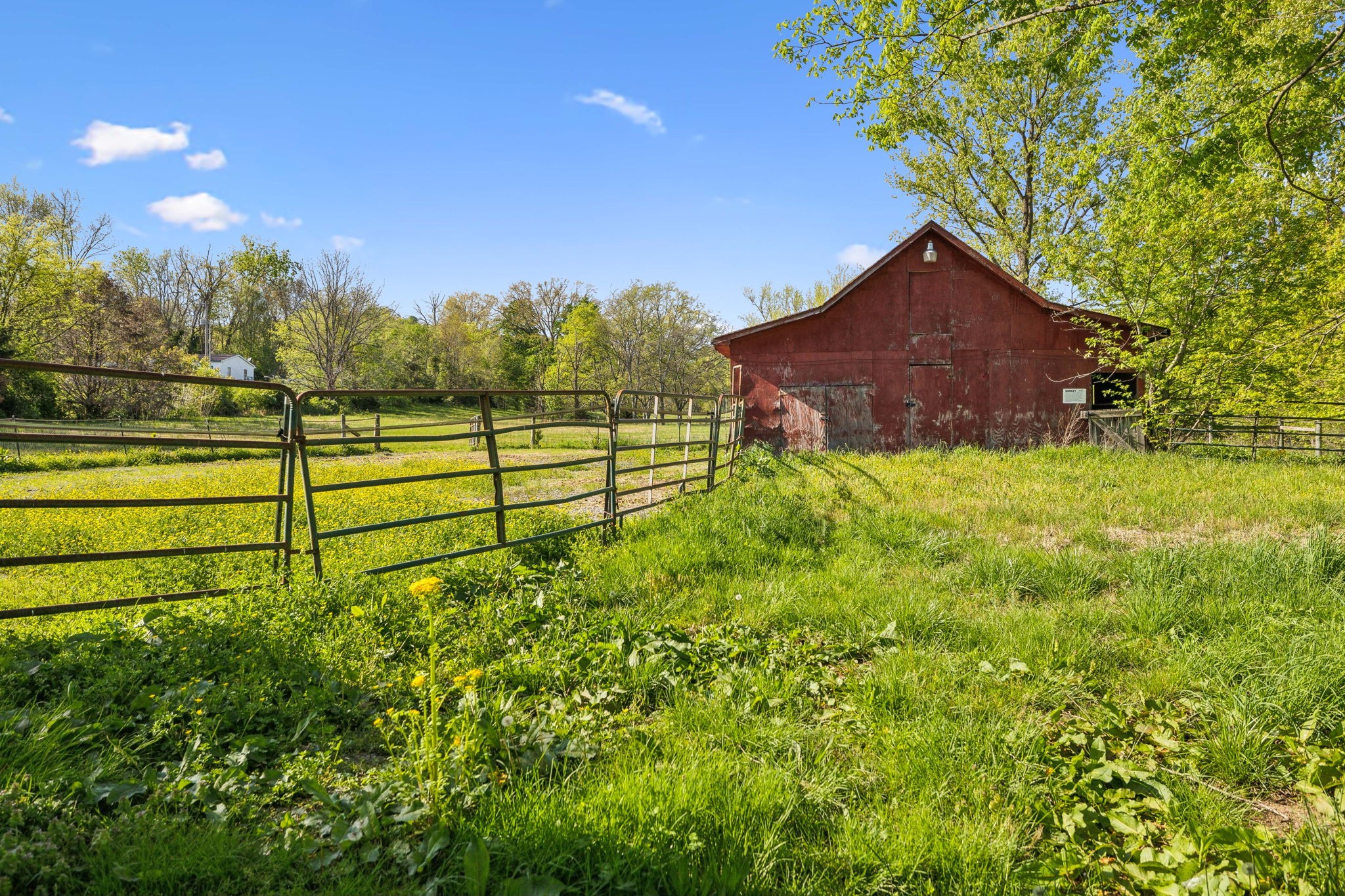 4462 Harpeth School Road Franklin, TN 37064 - Photo 37 of 45 a view of a garden with an outdoor space