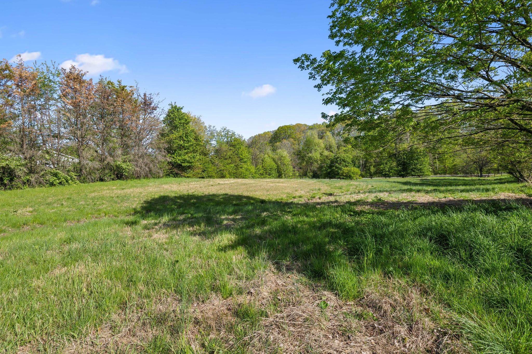 4462 Harpeth School Road Franklin, TN 37064 - Photo 40 of 45 a view of outdoor space with green field and trees all around