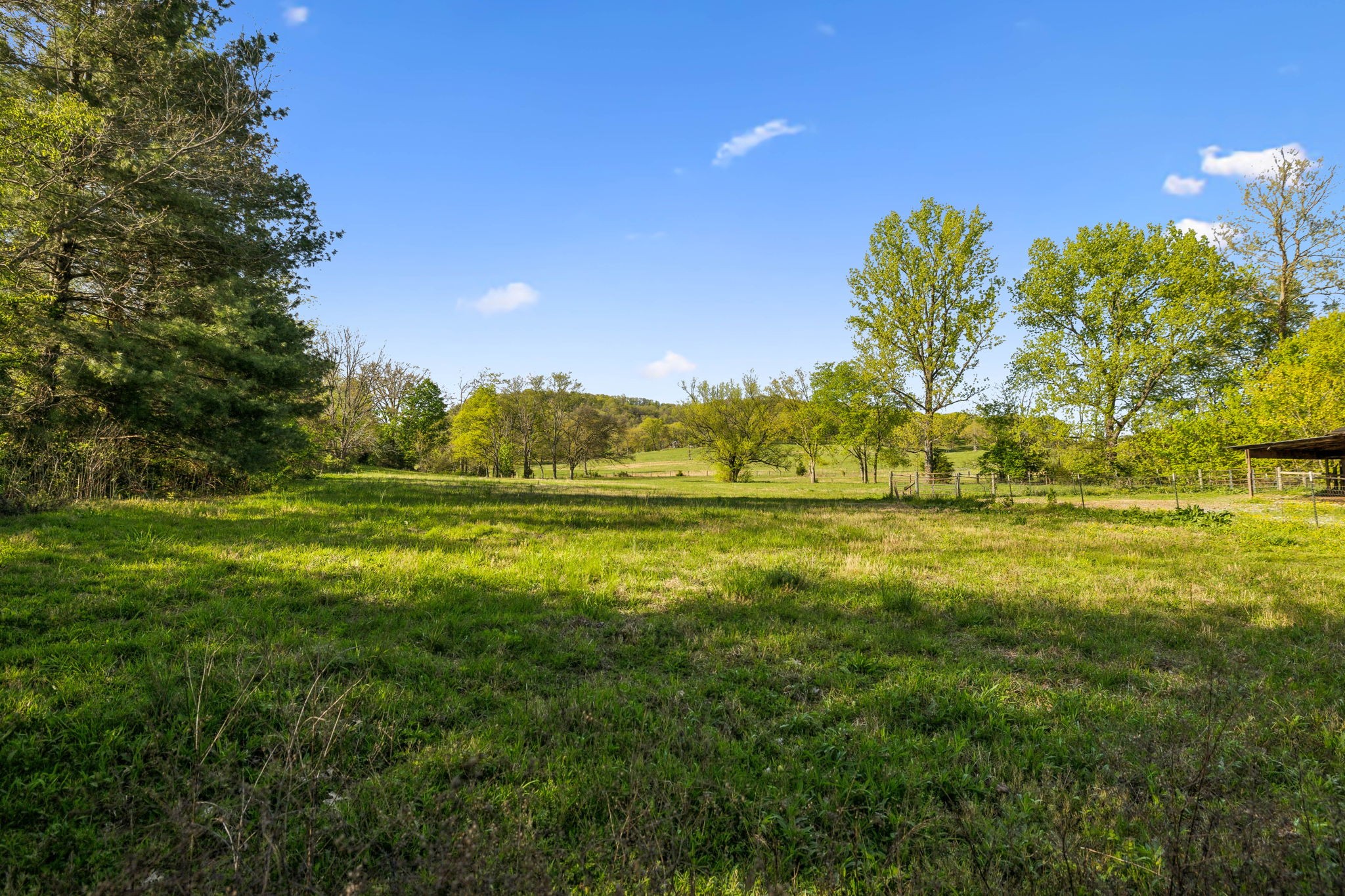 4462 Harpeth School Road Franklin, TN 37064 - Photo 41 of 45 a view of a big yard with large trees