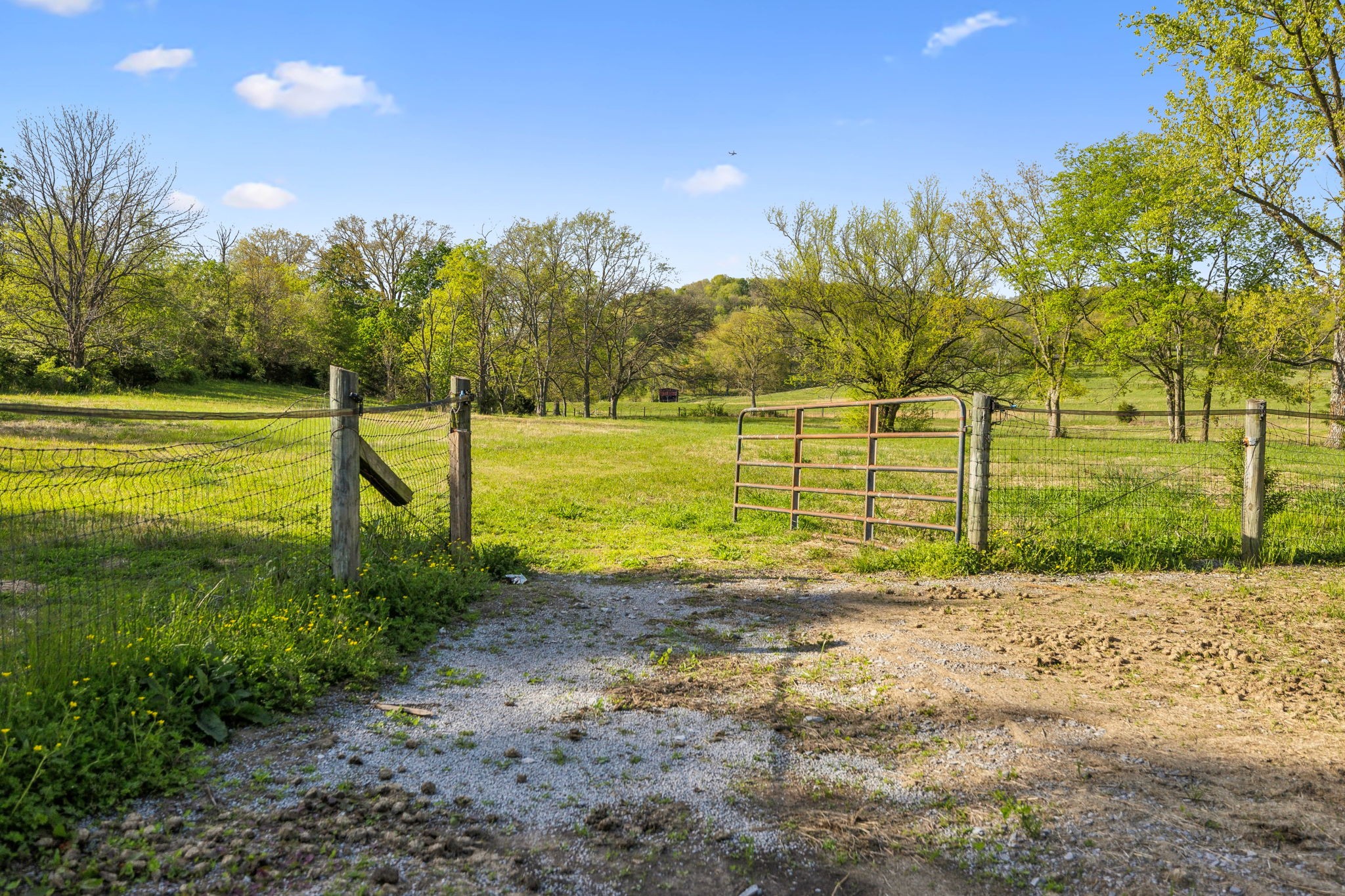4462 Harpeth School Road Franklin, TN 37064 - Photo 42 of 45 a view of a yard with a house