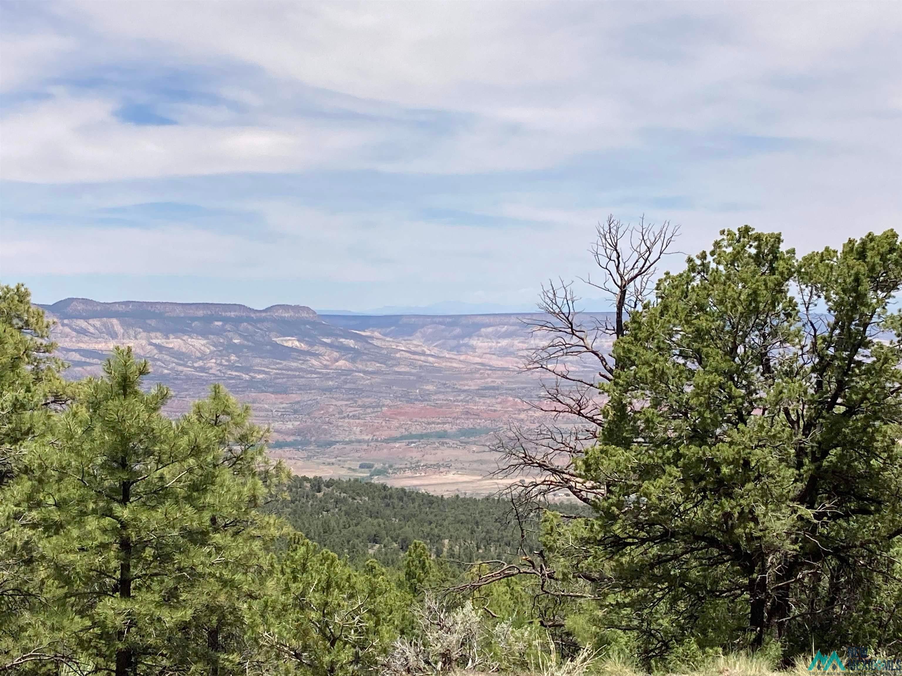 1 Forest Rd100 Road Canones, NM 87516 - Photo 34 of 39 Gallery Image 34