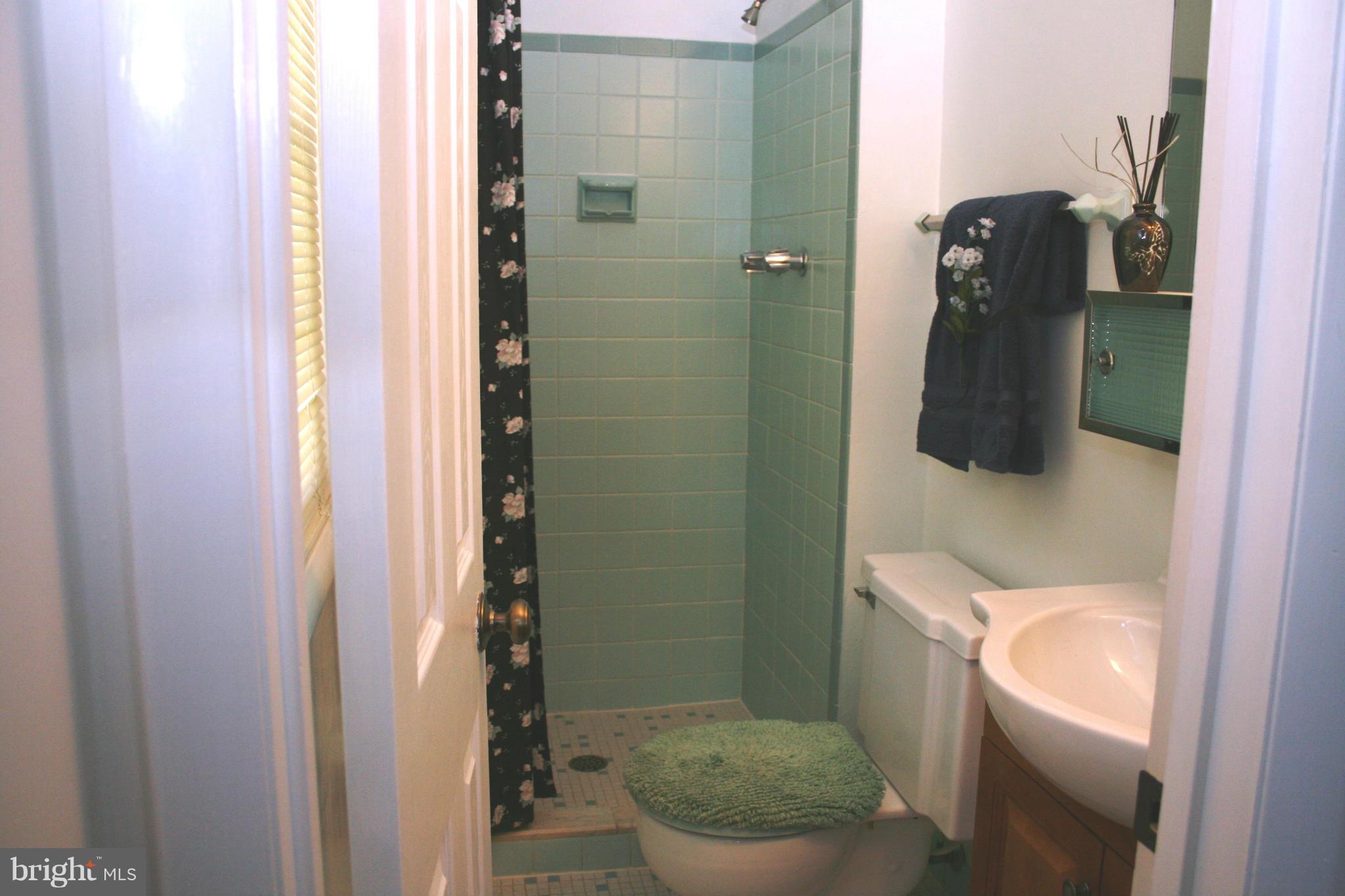 304 Beaumont Road Silver Spring, MD 20904 - Photo 16 of 26 Bath (Master)
