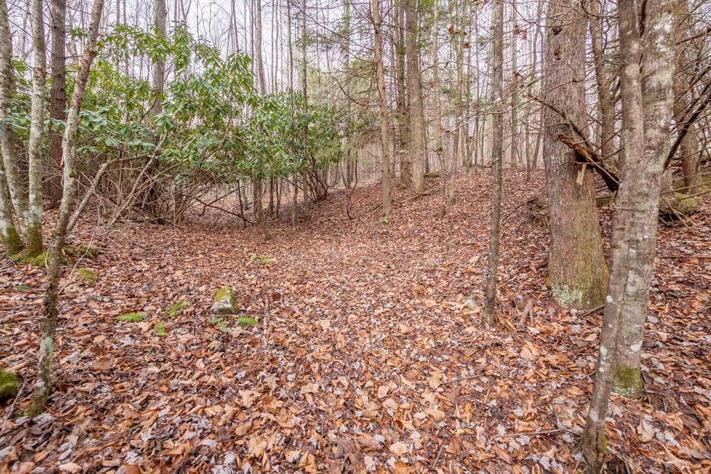 0 Marian Road Dugspur, VA 24325 - Photo 14 of 31 Gallery Image 14