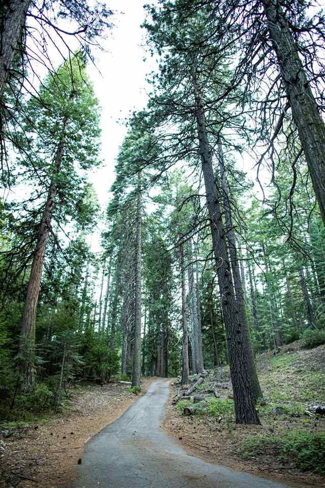 1012 Davis Place Road Mount Shasta, CA 96067 - Photo 23 of 26 Gallery Image 23