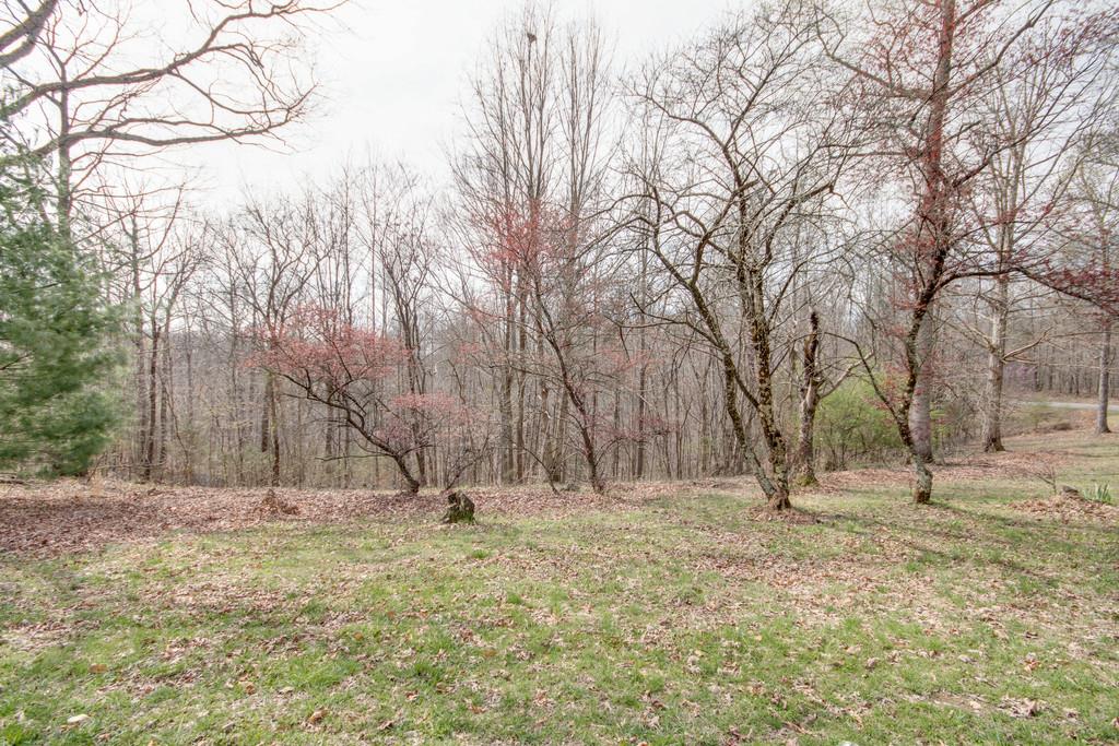 1020 Lambert Ridge Road Wartrace, TN 37183 - Photo 25 of 30 a view of open space with green space