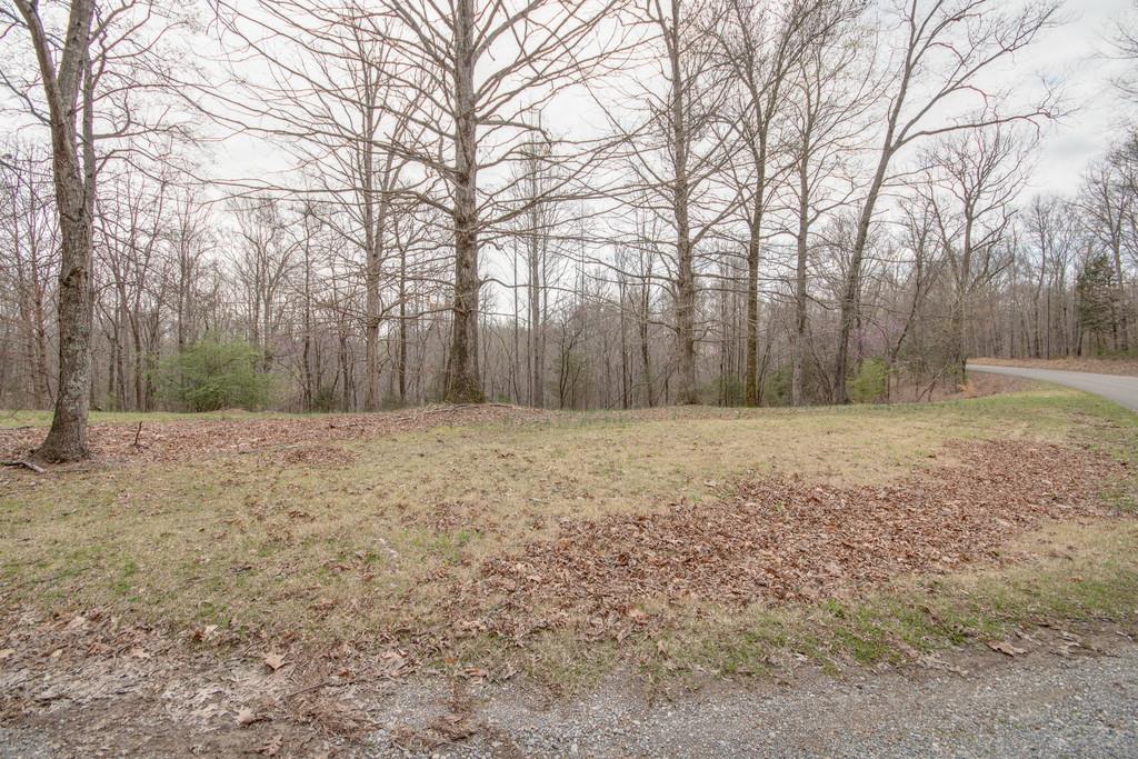 1020 Lambert Ridge Road Wartrace, TN 37183 - Photo 26 of 30 a view of backyard with green space
