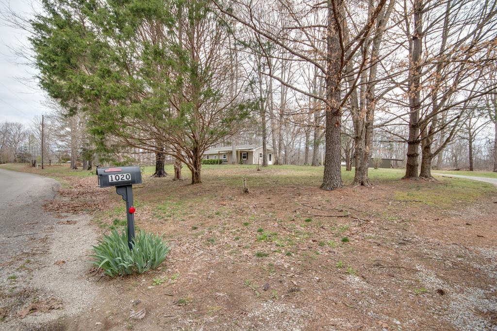 1020 Lambert Ridge Road Wartrace, TN 37183 - Photo 30 of 30 a street view with large trees