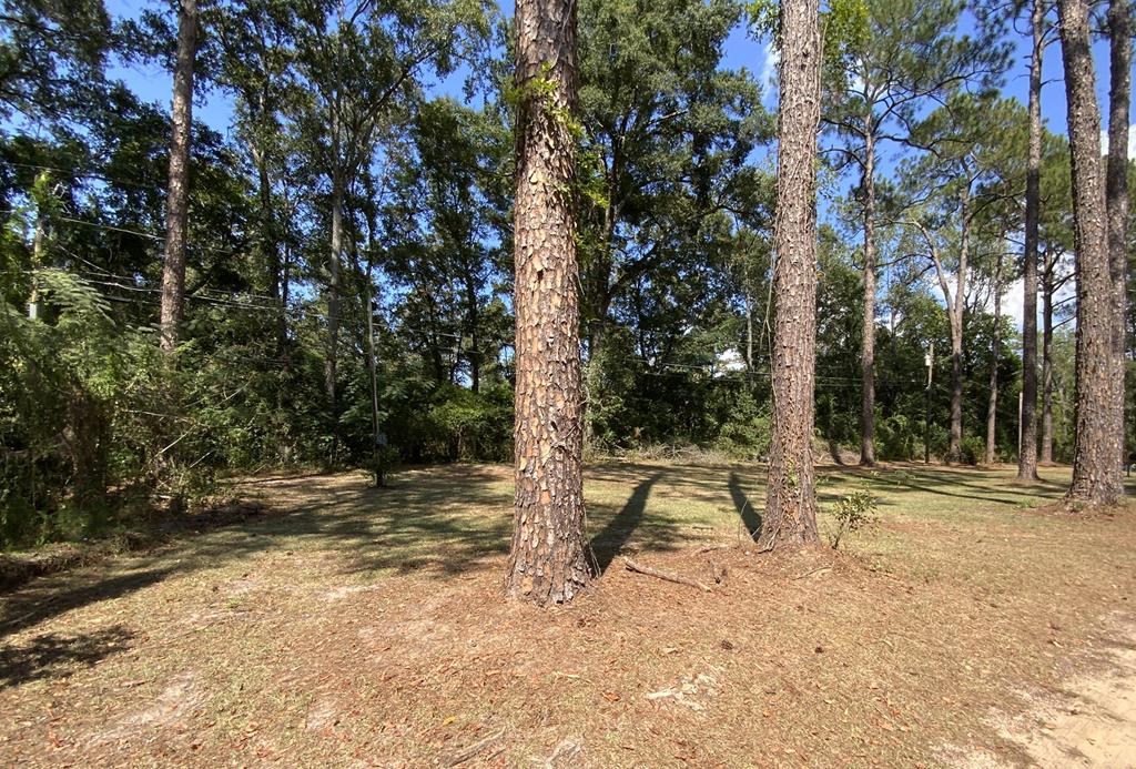 1879 Hall Road Thomasville, GA 31757 - Photo 4 of 10 Gallery Image 4