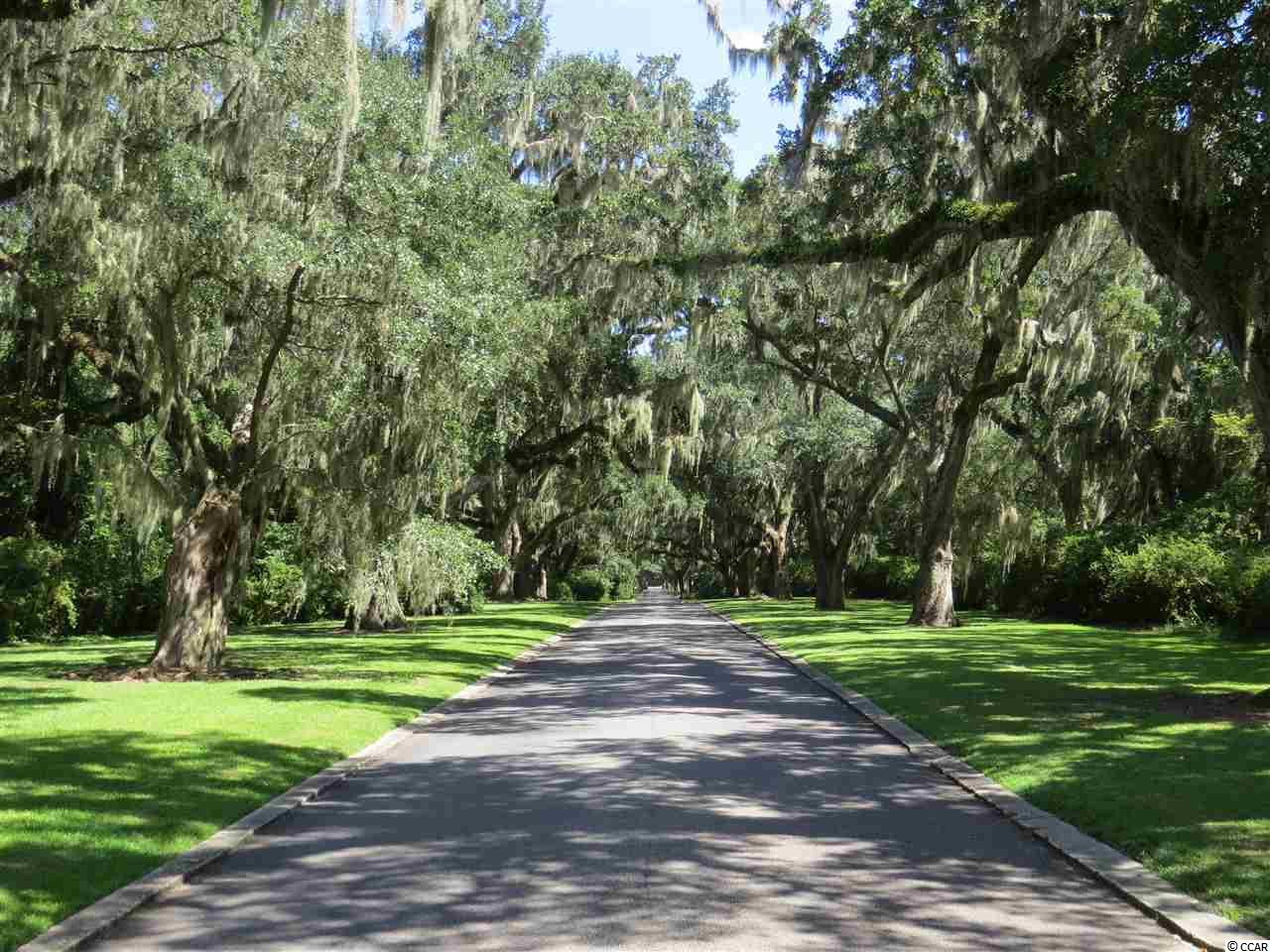 937 Tuckers Road Pawleys Island, SC 29585 - Photo 8 of 8 Gallery Image 8