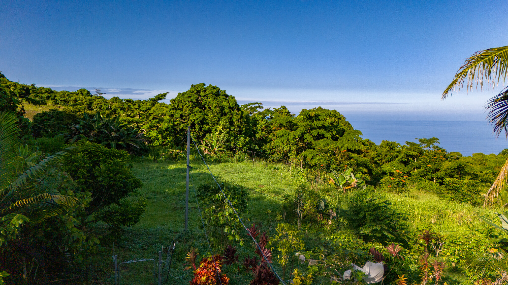 87-493 Kaohe Mauka Road Captain Cook, HI 96704 - Photo 23 of 28