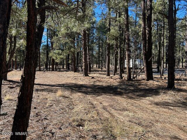 N2121 Alpine Az 85920 Alpine, AZ 85920 - Photo 3 of 16 a view of road with trees