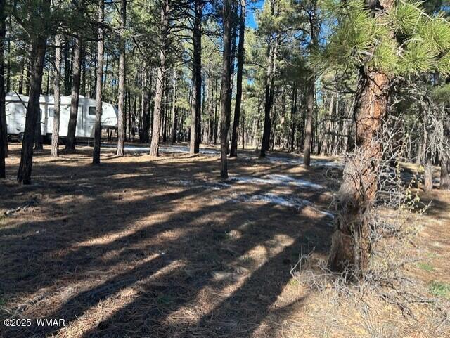 N2121 Alpine Az 85920 Alpine, AZ 85920 - Photo 5 of 16 a view of road with trees