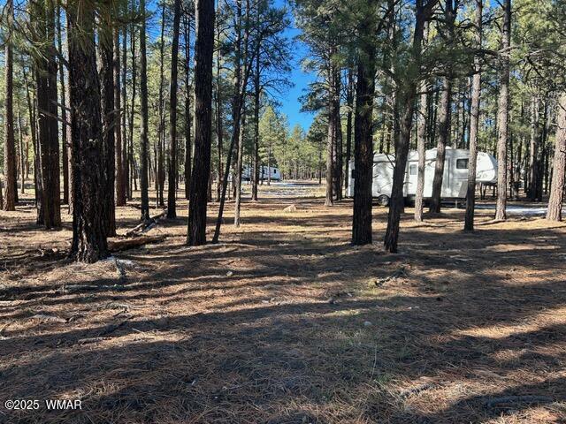 N2121 Alpine Az 85920 Alpine, AZ 85920 - Photo 6 of 16 a view of a park with large trees