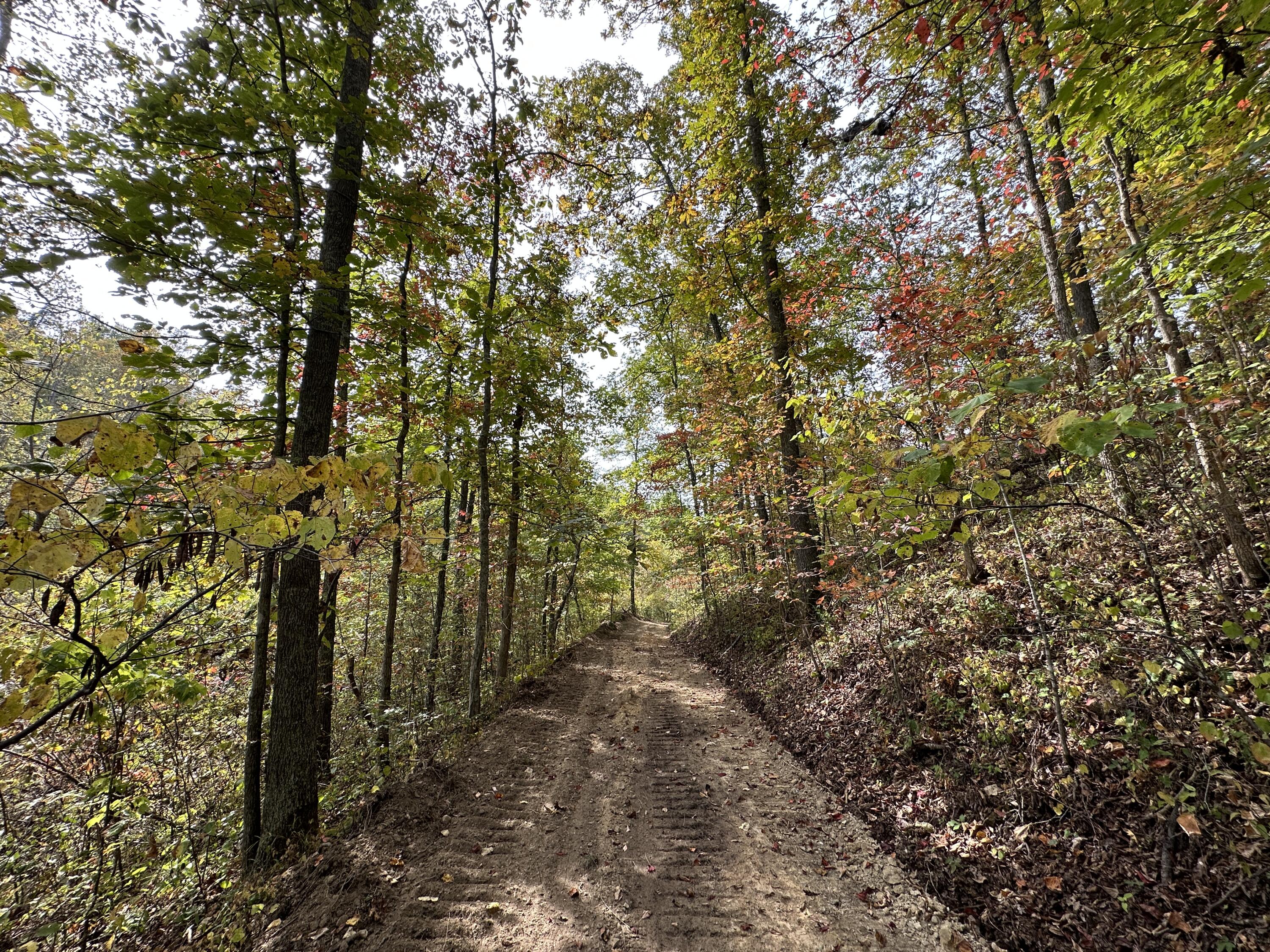 3 Williams Creek Road Rush, KY 41168 - Photo 17 of 27 16