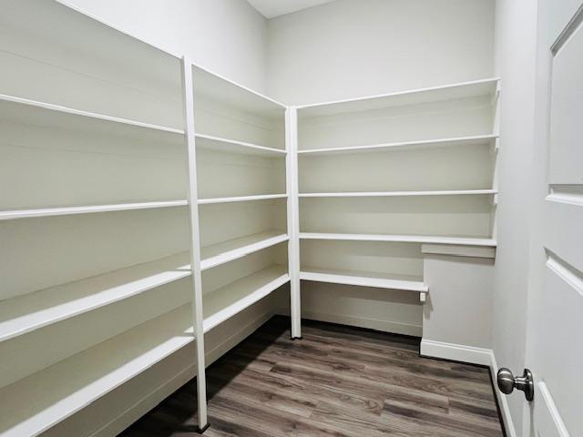1717 Banks View Drive Raleigh, NC 27603 - Photo 16 of 33 a view of walk in closet with empty racks