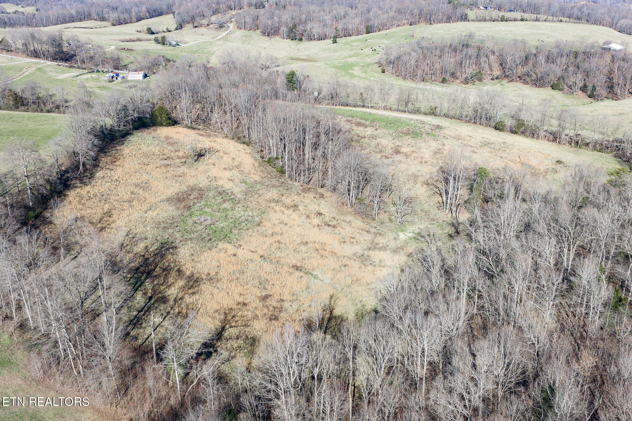24-ac Cedar Grove Road Pall Mall, TN 38577 - Photo 1 of 28 Cedar Grove Rd