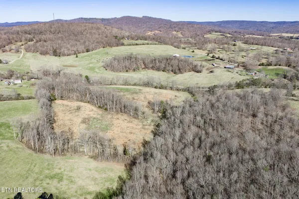 $192,000 | 24-ac Cedar Grove Road, Pall Mall, TN 38577