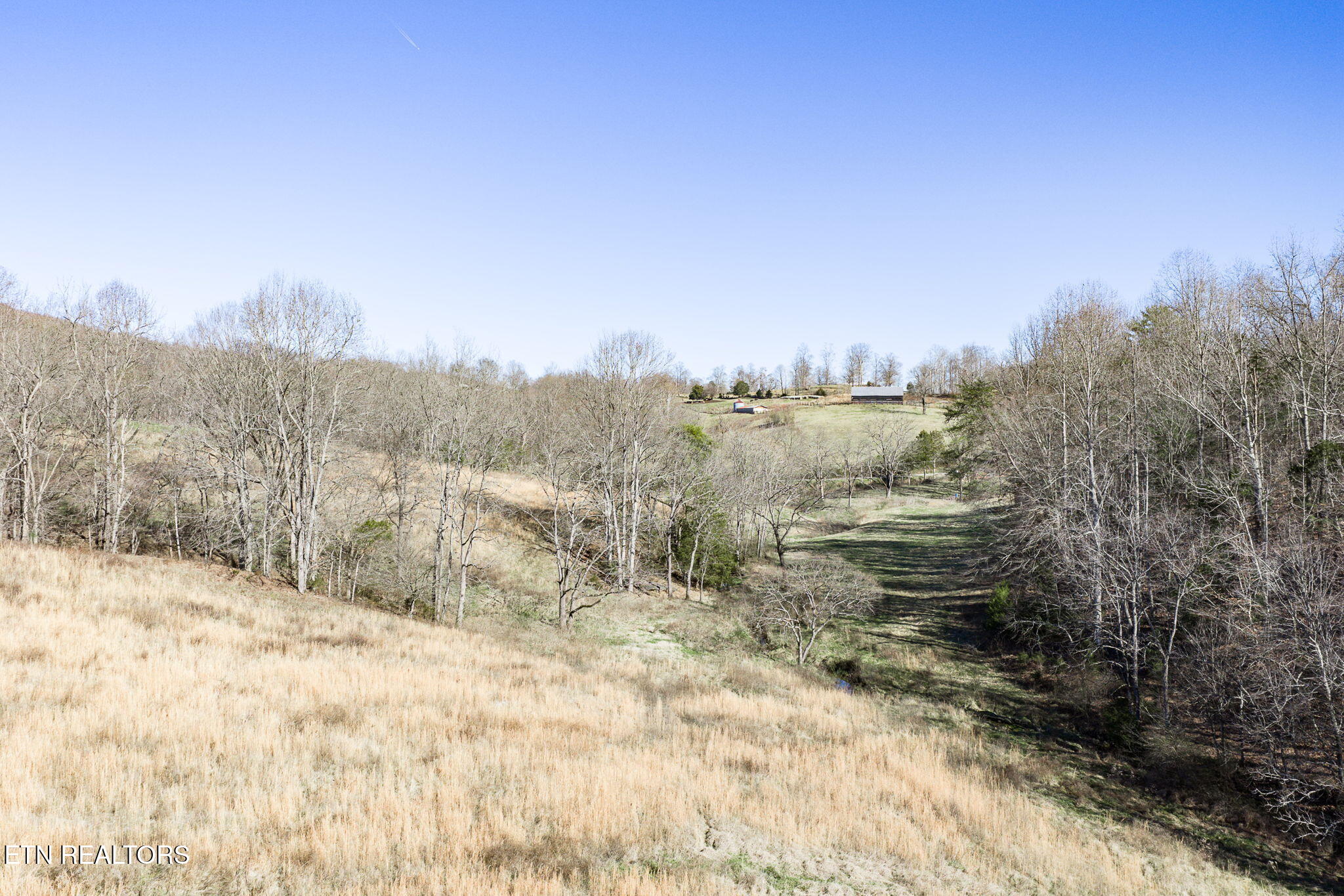 24-ac Cedar Grove Road Pall Mall, TN 38577 - Photo 13 of 28 17-web-or-mls-Cedar Grove Rd 24 Ac_085_T