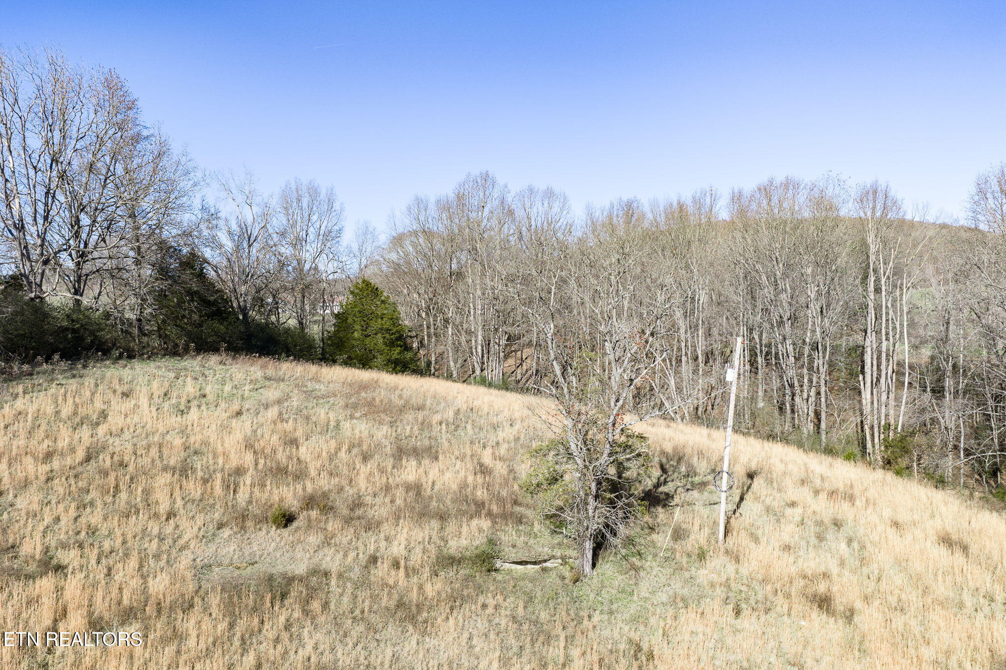 24-ac Cedar Grove Road Pall Mall, TN 38577 - Photo 15 of 28 19-web-or-mls-Cedar Grove Rd 24 Ac_095_T