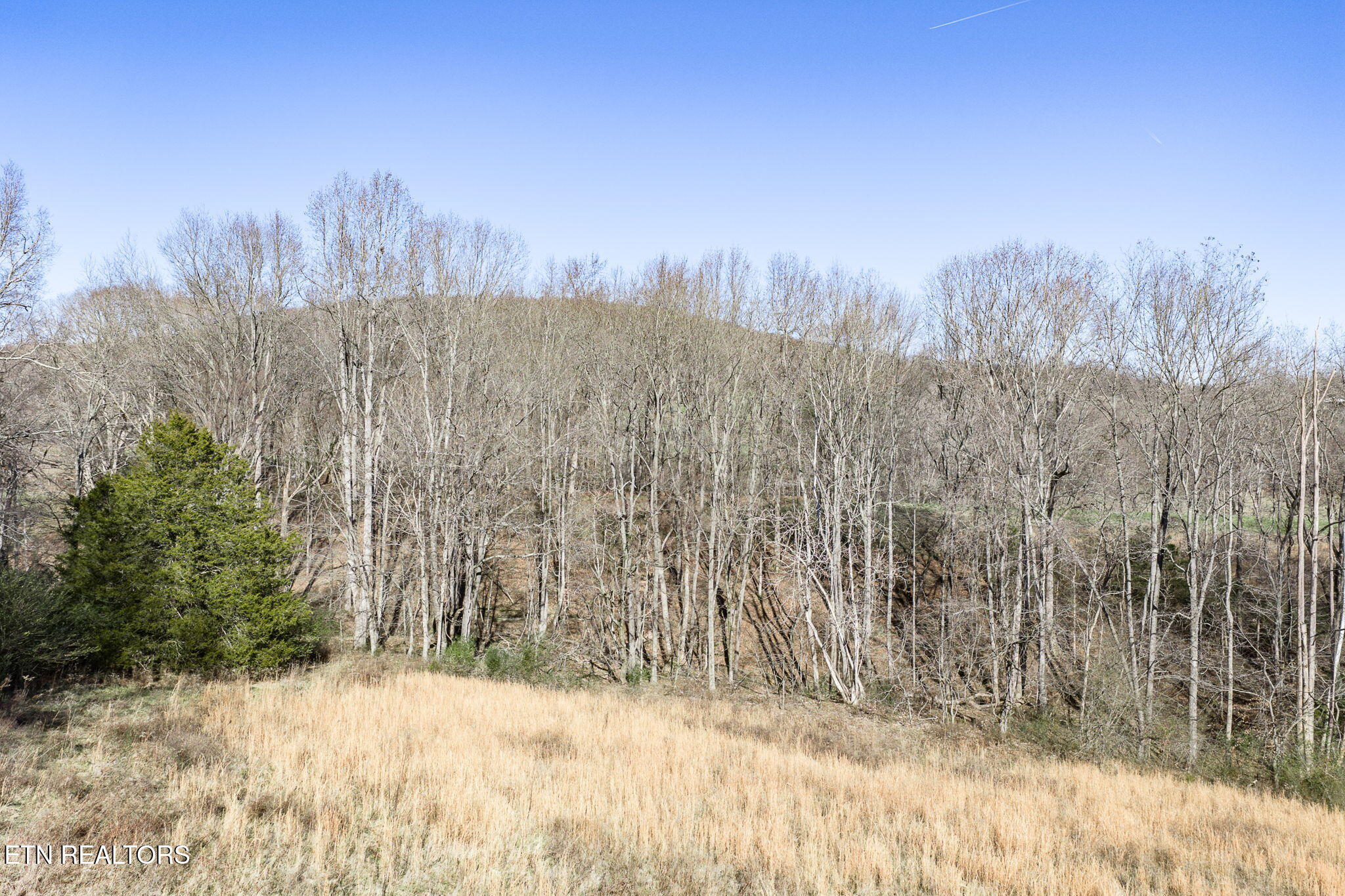 24-ac Cedar Grove Road Pall Mall, TN 38577 - Photo 16 of 28 20-web-or-mls-Cedar Grove Rd 24 Ac_100_T