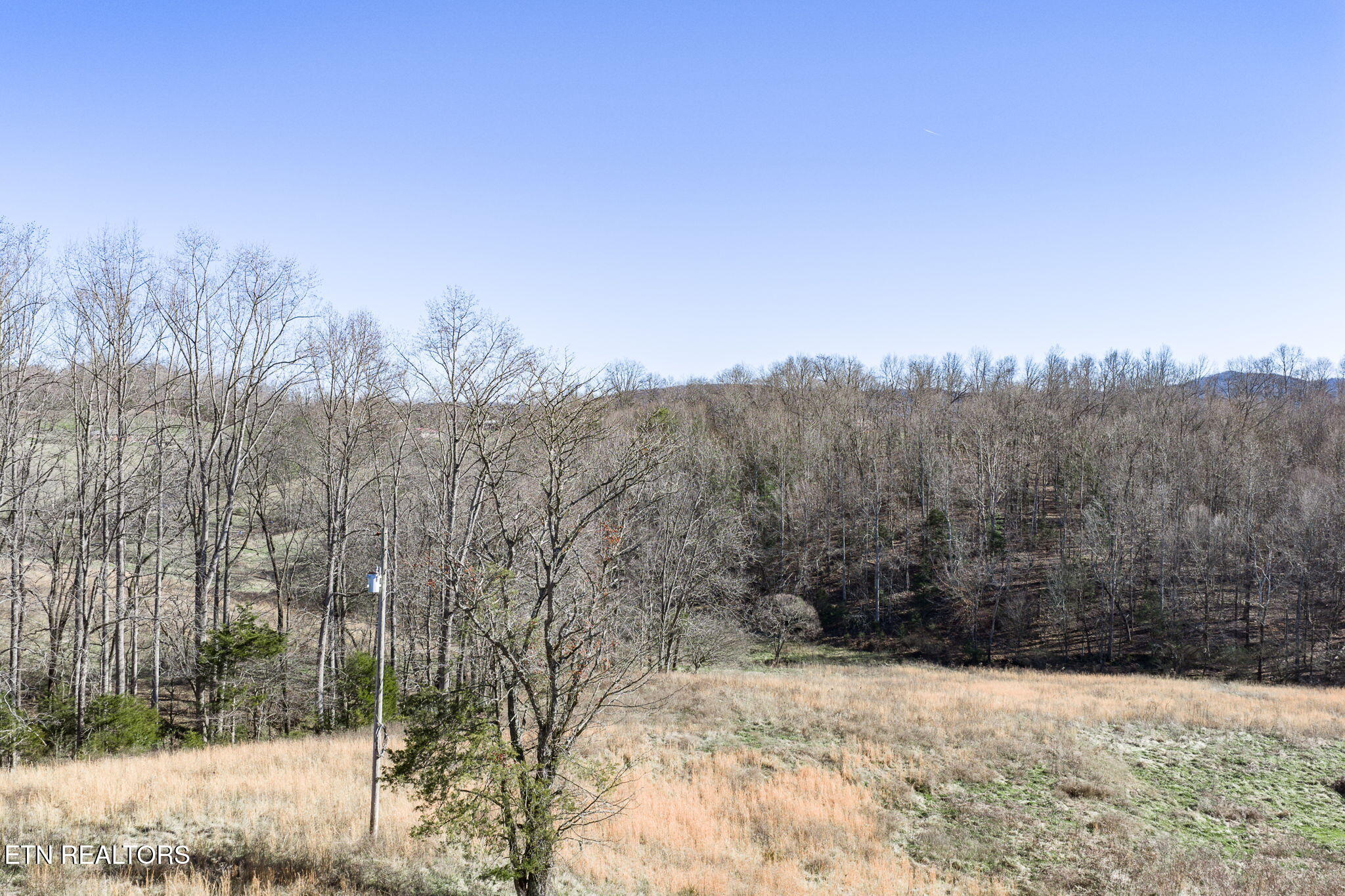 24-ac Cedar Grove Road Pall Mall, TN 38577 - Photo 17 of 28 21-web-or-mls-Cedar Grove Rd 24 Ac_105_T