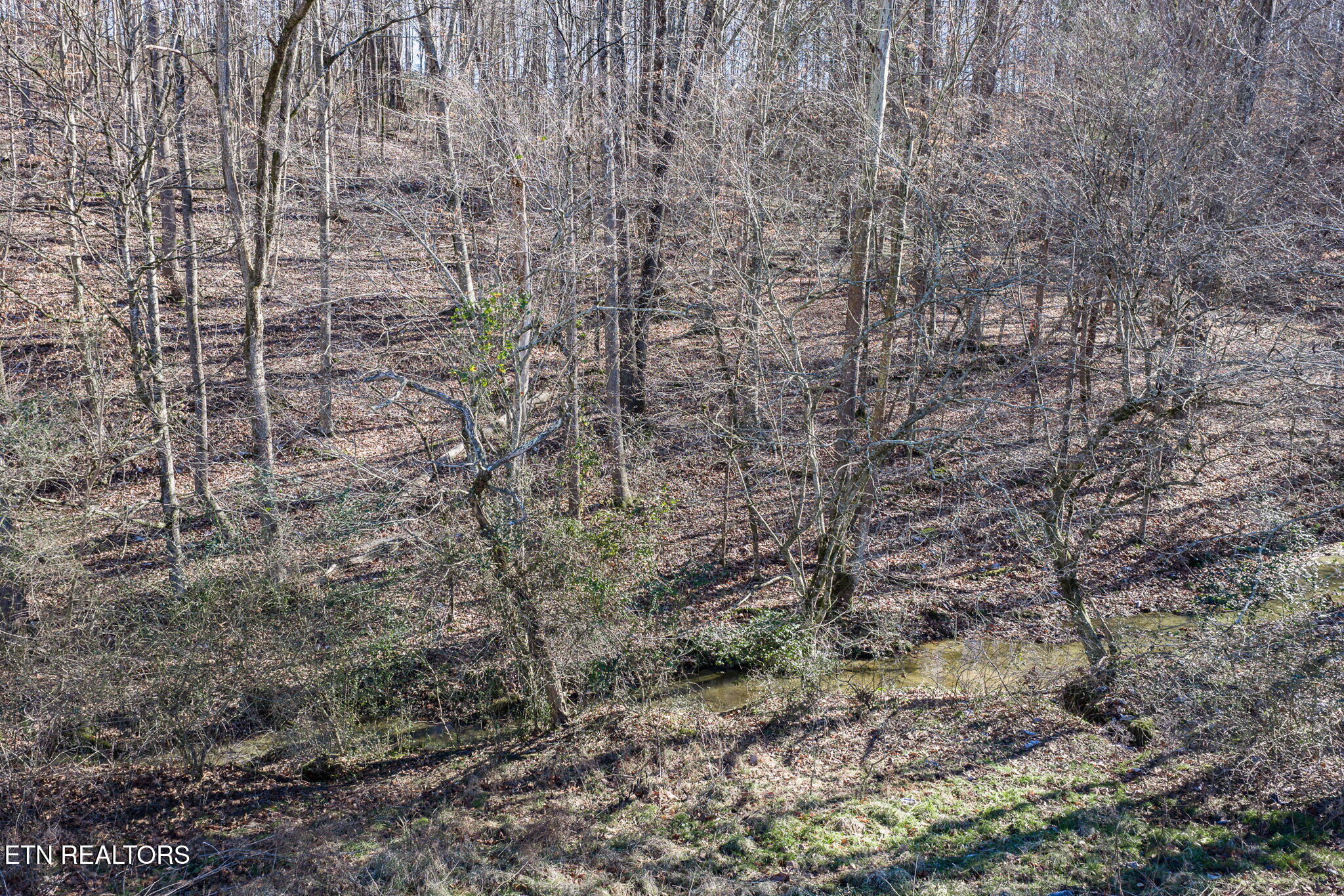 24-ac Cedar Grove Road Pall Mall, TN 38577 - Photo 18 of 28 22-web-or-mls-Cedar Grove Rd 24 Ac_106_T