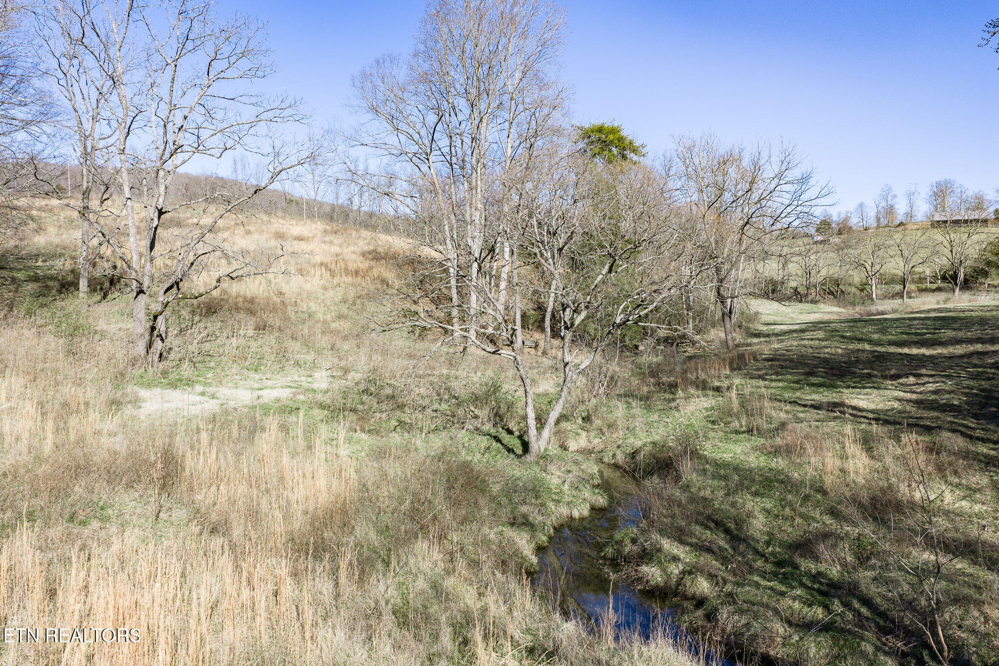 24-ac Cedar Grove Road Pall Mall, TN 38577 - Photo 20 of 28 25-web-or-mls-Cedar Grove Rd 24 Ac_123_T