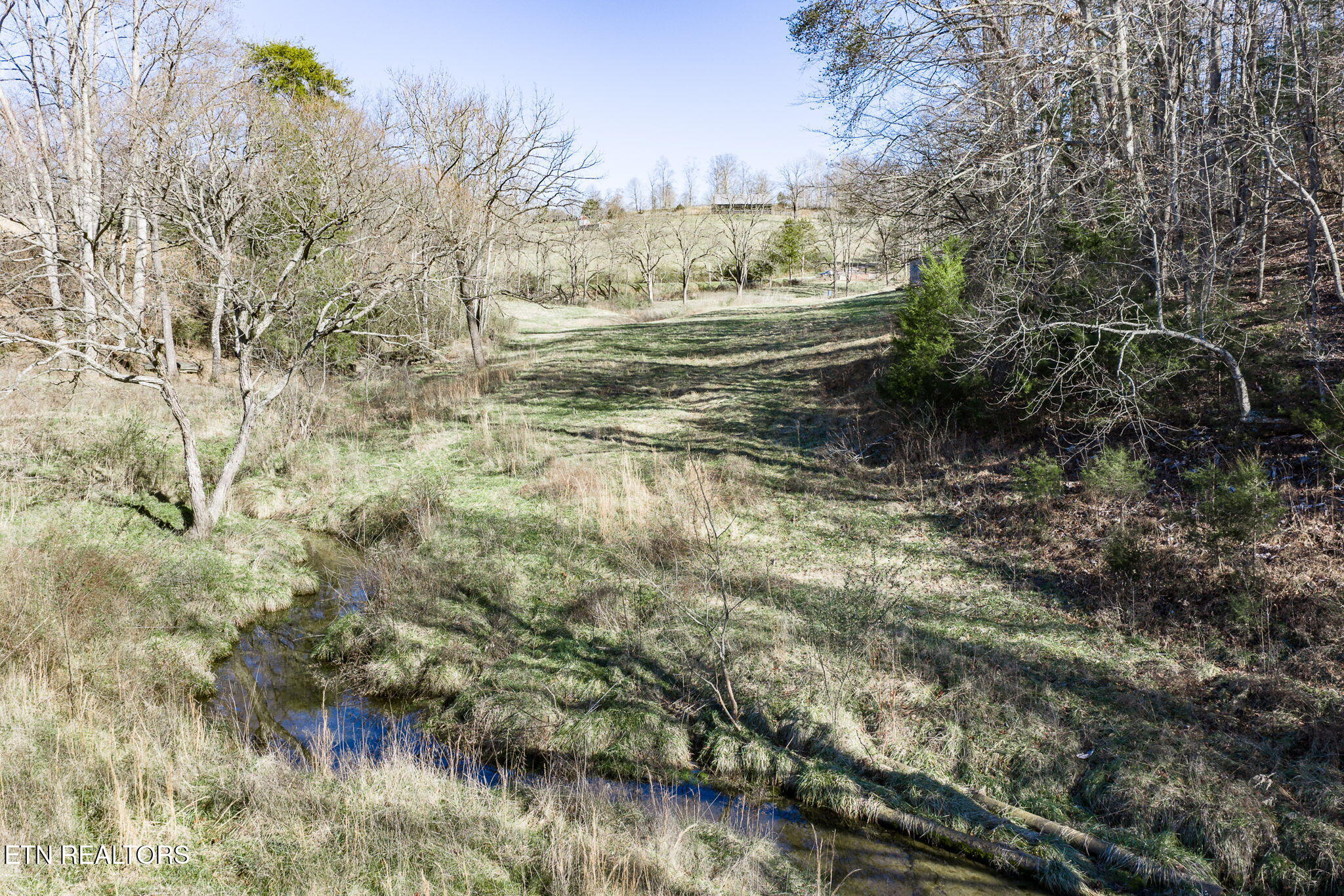 24-ac Cedar Grove Road Pall Mall, TN 38577 - Photo 21 of 28 27-web-or-mls-Cedar Grove Rd 24 Ac_133_T