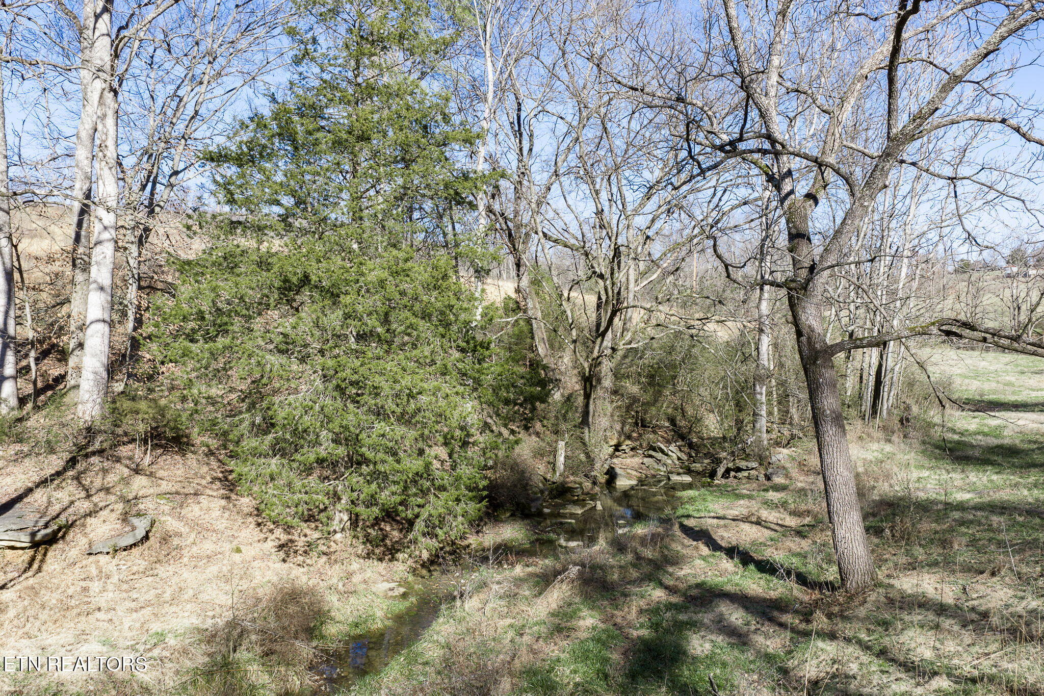 24-ac Cedar Grove Road Pall Mall, TN 38577 - Photo 22 of 28 28-web-or-mls-Cedar Grove Rd 24 Ac_140_T