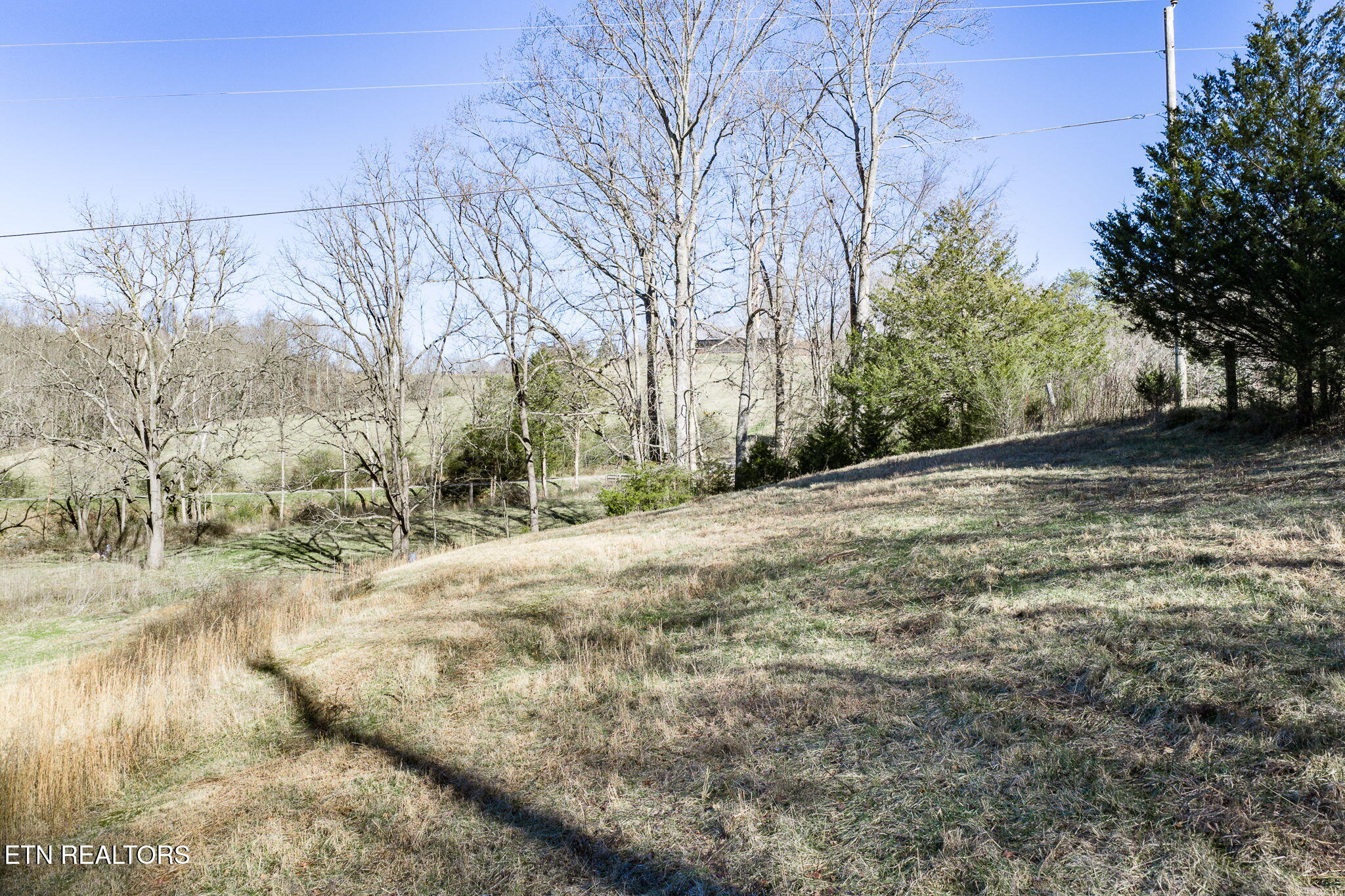 24-ac Cedar Grove Road Pall Mall, TN 38577 - Photo 25 of 28 31-web-or-mls-Cedar Grove Rd 24 Ac_155_T