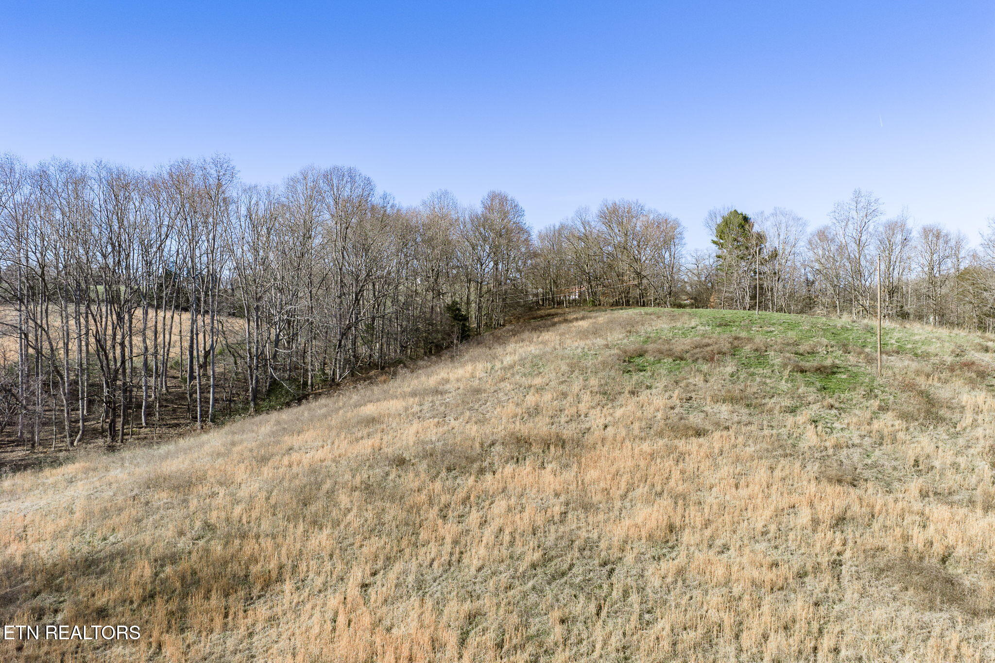 24-ac Cedar Grove Road Pall Mall, TN 38577 - Photo 27 of 28 34-web-or-mls-Cedar Grove Rd 24 Ac_170_T