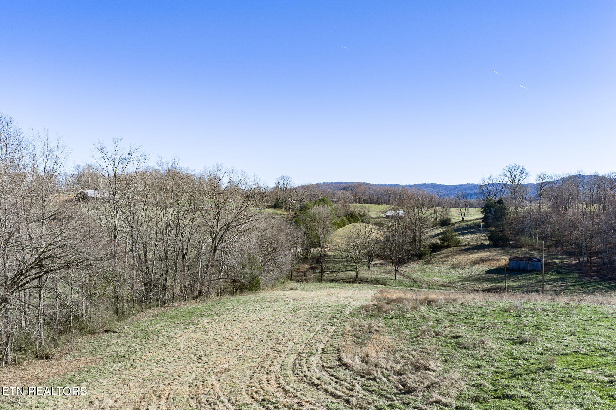 24-ac Cedar Grove Road Pall Mall, TN 38577 - Photo 28 of 28 37-web-or-mls-Cedar Grove Rd 24 Ac_185_T
