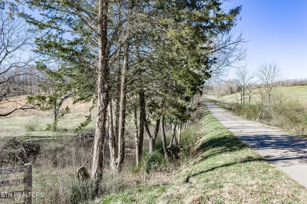 $192,000 | 24-ac Cedar Grove Road, Pall Mall, TN 38577