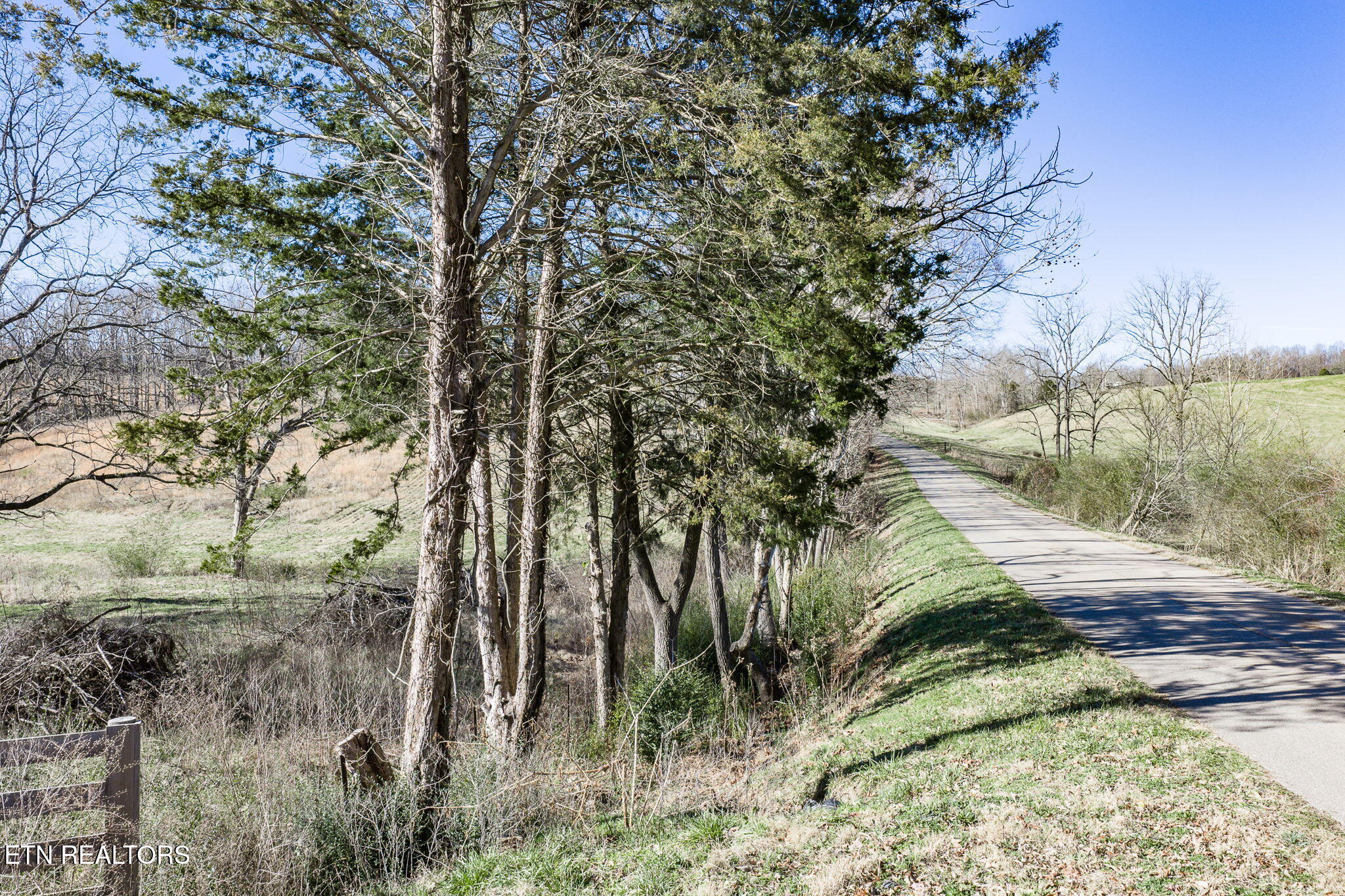 24-ac Cedar Grove Road Pall Mall, TN 38577 - Photo 3 of 28 1-web-or-mls-Cedar Grove Rd 24 Ac_003_TN