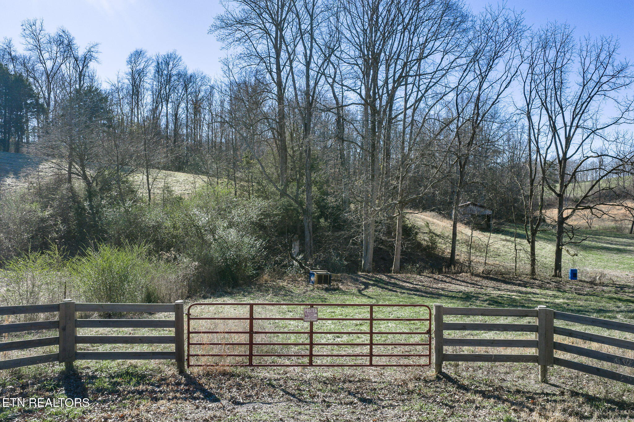24-ac Cedar Grove Road Pall Mall, TN 38577 - Photo 4 of 28 2-web-or-mls-Cedar Grove Rd 24 Ac_006_TN