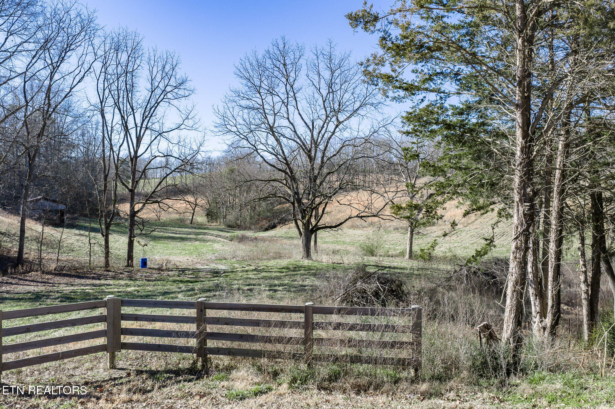 24-ac Cedar Grove Road Pall Mall, TN 38577 - Photo 5 of 28 3-web-or-mls-Cedar Grove Rd 24 Ac_013_TN