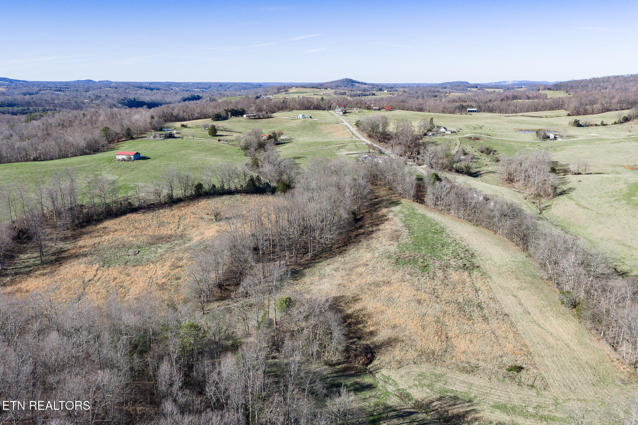 24-ac Cedar Grove Road Pall Mall, TN 38577 - Photo 9 of 28 8-web-or-mls-Cedar Grove Rd 24 Ac_038_TN