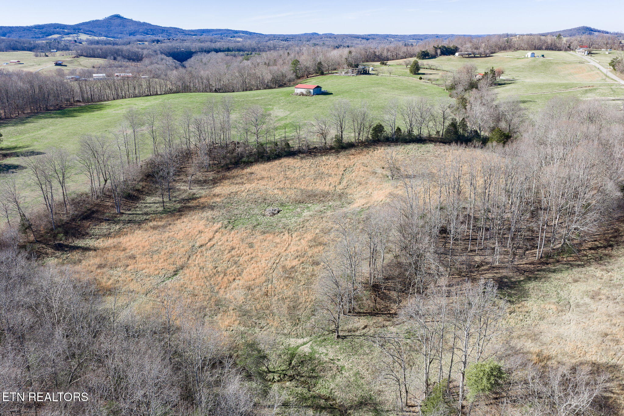 24-ac Cedar Grove Road Pall Mall, TN 38577 - Photo 10 of 28 10-web-or-mls-Cedar Grove Rd 24 Ac_048_T