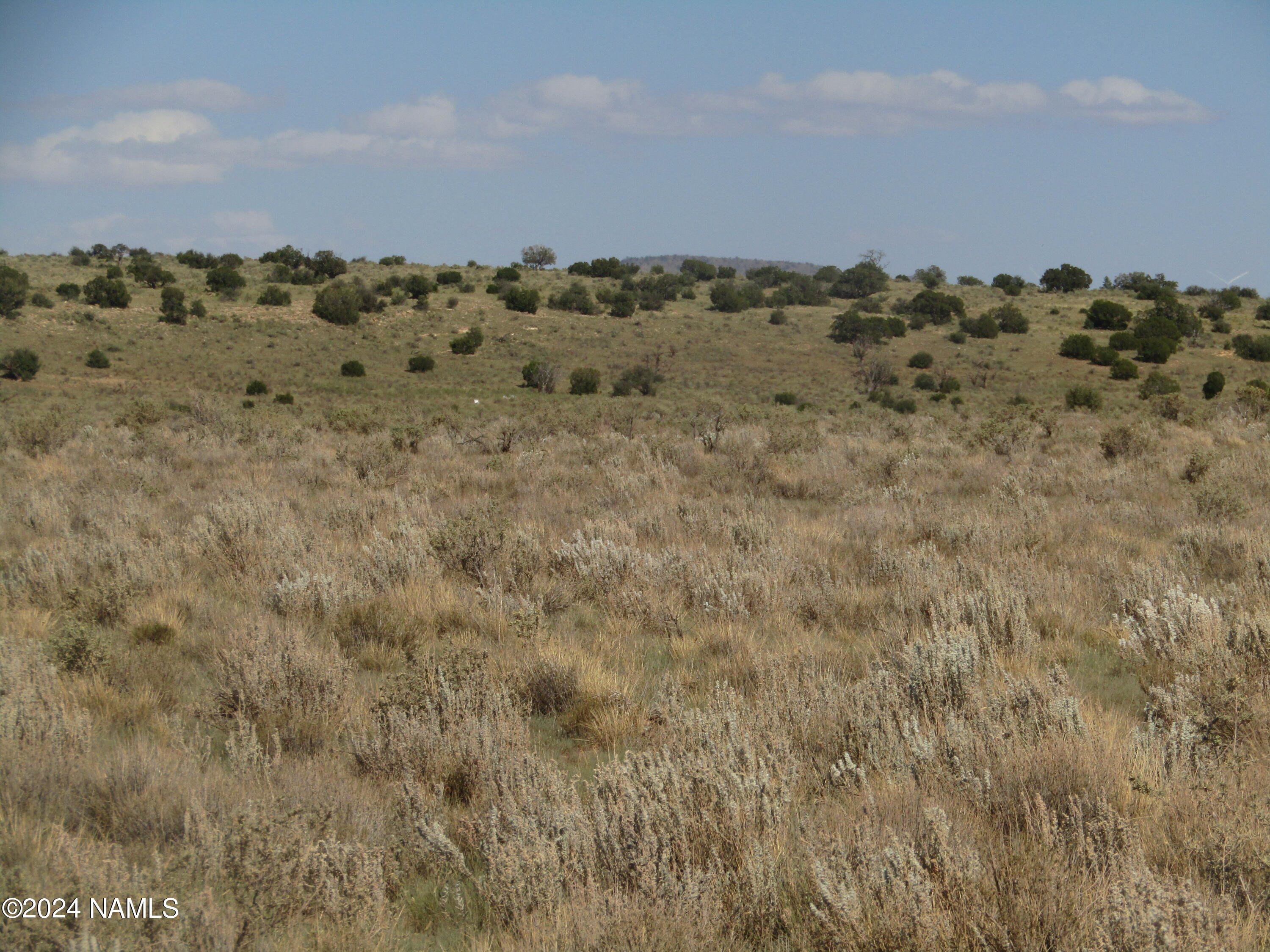 275 Pine Road, Unit 376 Williams, AZ 86046 - Photo 2 of 4 IMG_2741
