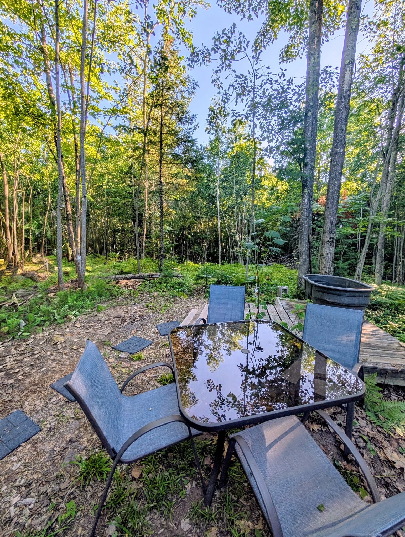 11754 Knoll Road Lake Nebagamon, WI 54849 - Photo 10 of 15 Gallery Image 10