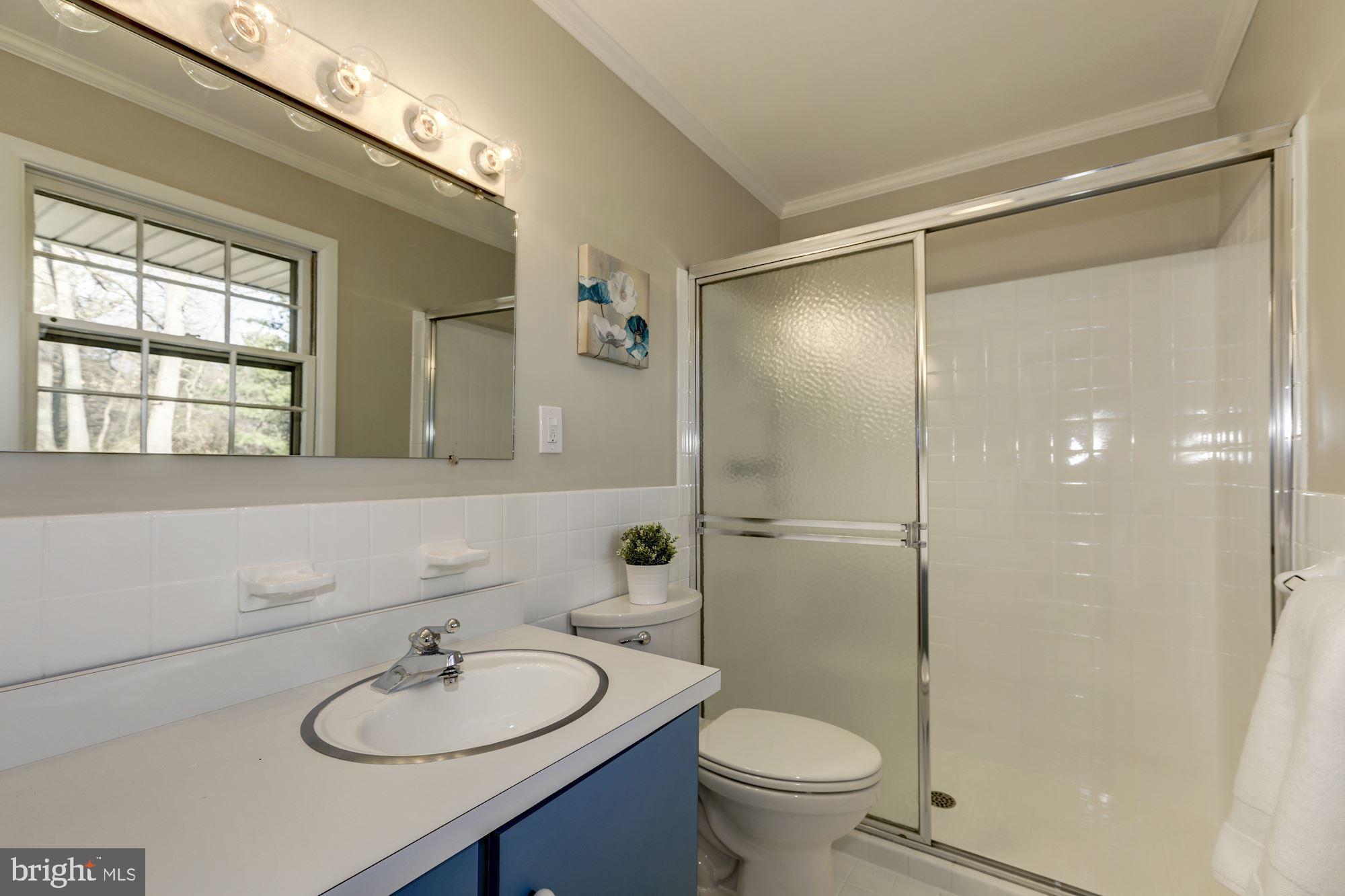 720 East Randolph Road Silver Spring, MD 20904 - Photo 22 of 31 Owner's Bath View 2